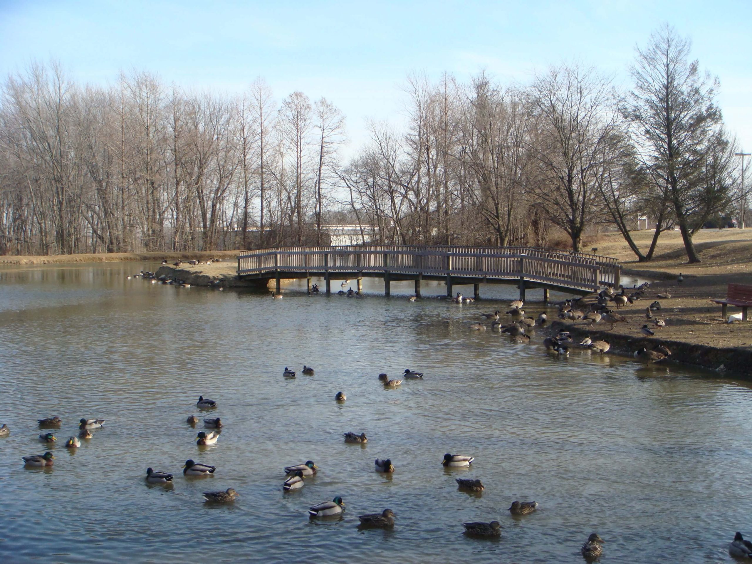 Weather in Forest Hill Maryland Climate, Weather Patterns and Trends